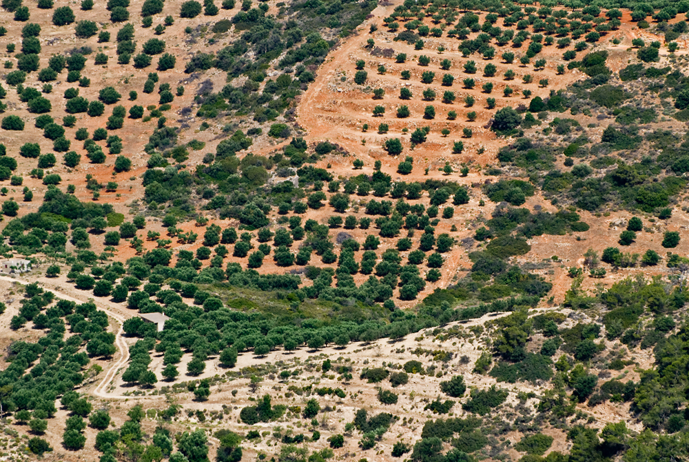 210_Kreta_w drodze na Vai.jpg